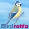 Dreamzer - Vogelzüchter bei Birdrama